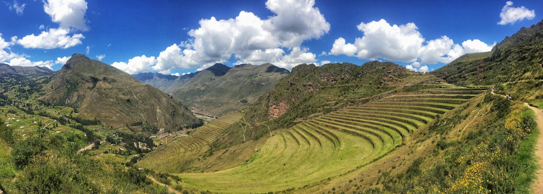 Green rice terraces in Sapa